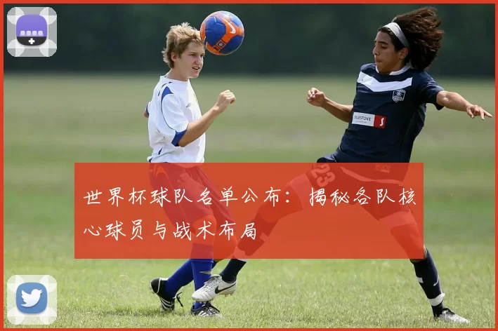 世界杯球队名单公布：揭秘各队核心球员与战术布局