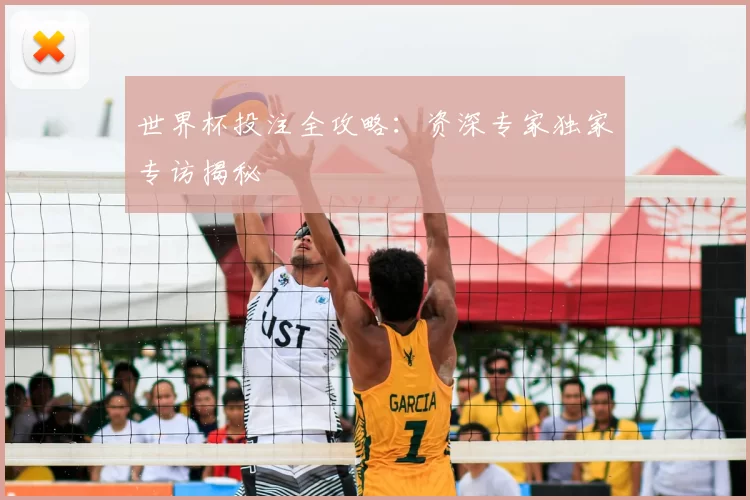 世界杯投注全攻略:资深专家独家专访揭秘