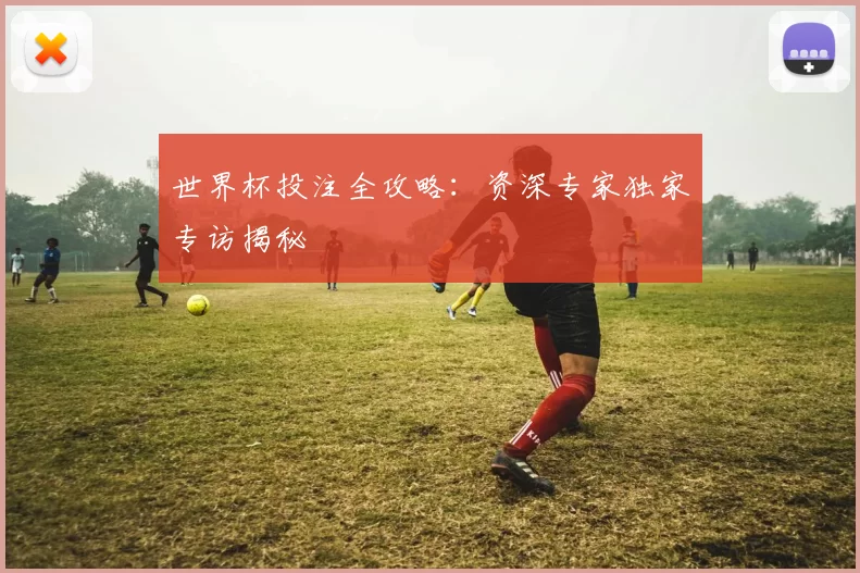 世界杯投注全攻略：资深专家独家专访揭秘