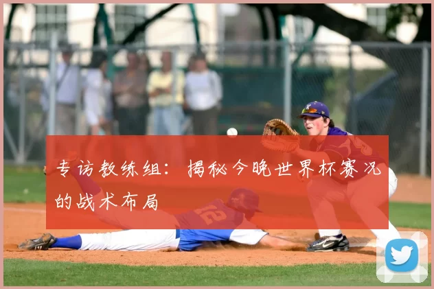 专访教练组：揭秘今晚世界杯赛况的战术布局