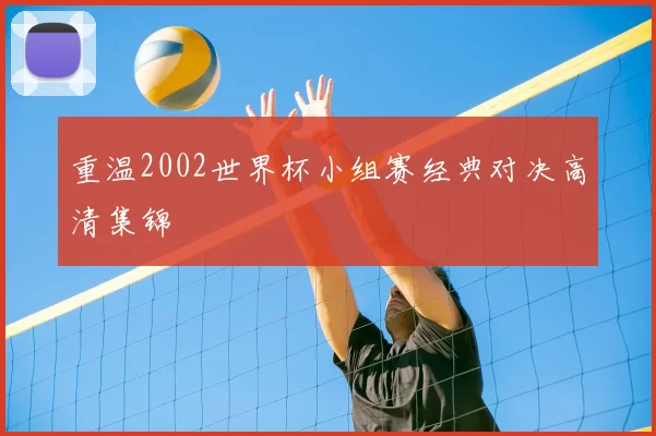 重温2002世界杯小组赛经典对决高清集锦