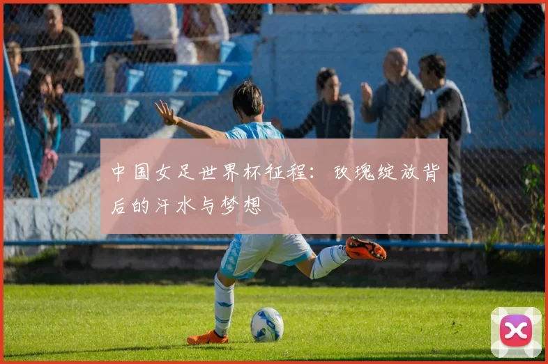 中国女足世界杯征程：玫瑰绽放背后的汗水与梦想
