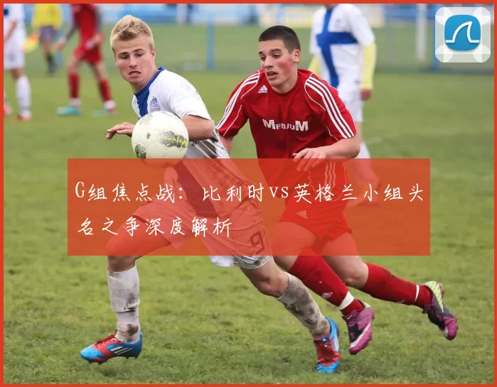 G组焦点战：比利时vs英格兰小组头名之争深度解析