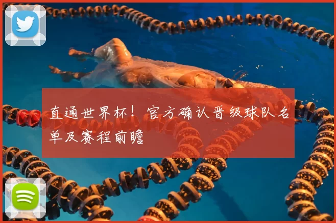 直通世界杯!官方确认晋级球队名单及赛程前瞻