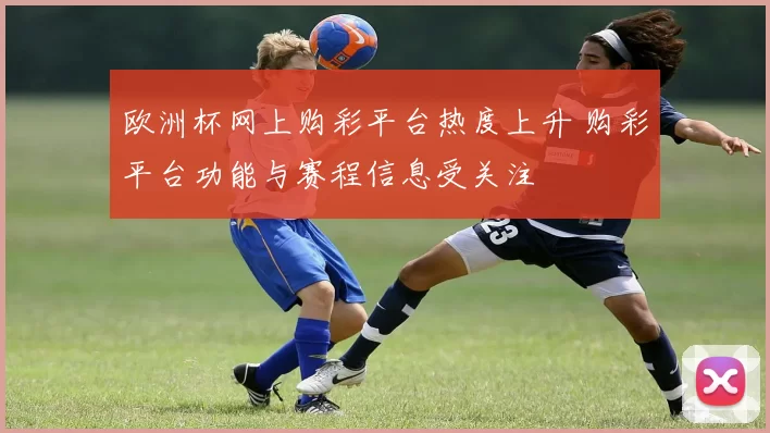欧洲杯网上购彩平台热度上升 购彩平台功能与赛程信息受关注