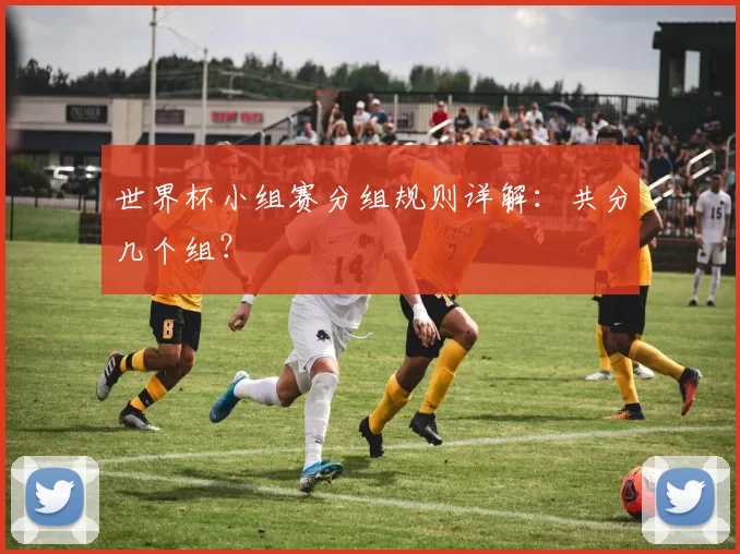 世界杯小组赛分组规则详解：共分几个组？