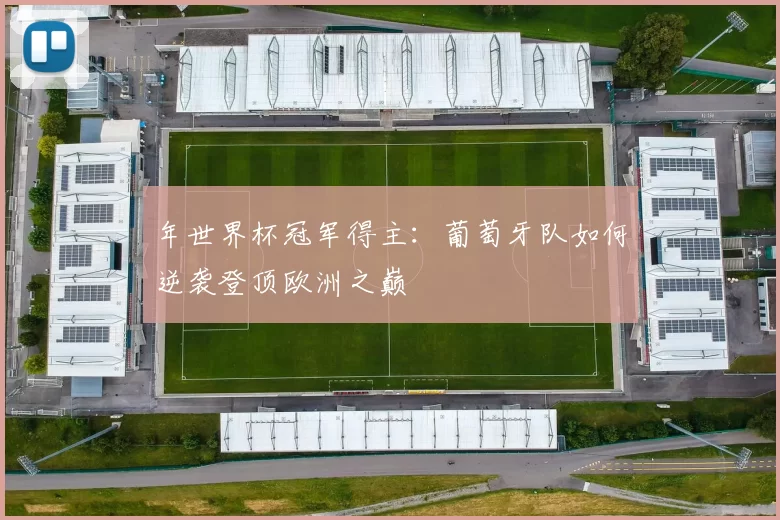 年世界杯冠军得主:葡萄牙队如何逆袭登顶欧洲之巅