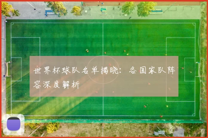 世界杯球队名单揭晓：各国家队阵容深度解析