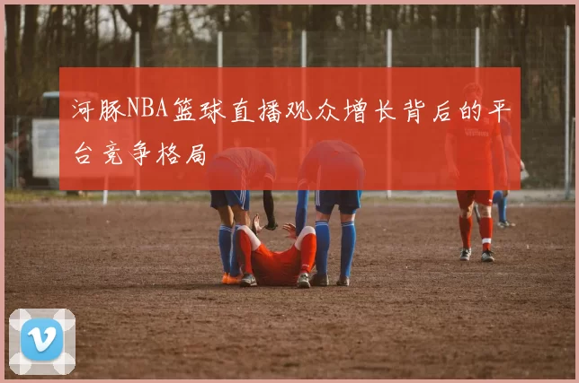 河豚NBA篮球直播观众增长背后的平台竞争格局