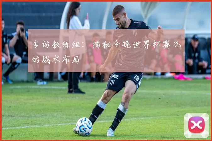 专访教练组:揭秘今晚世界杯赛况的战术布局