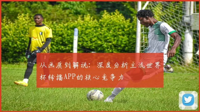 从画质到解说：深度分析主流世界杯转播APP的核心竞争力