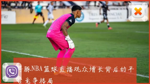 河豚NBA篮球直播观众增长背后的平台竞争格局
